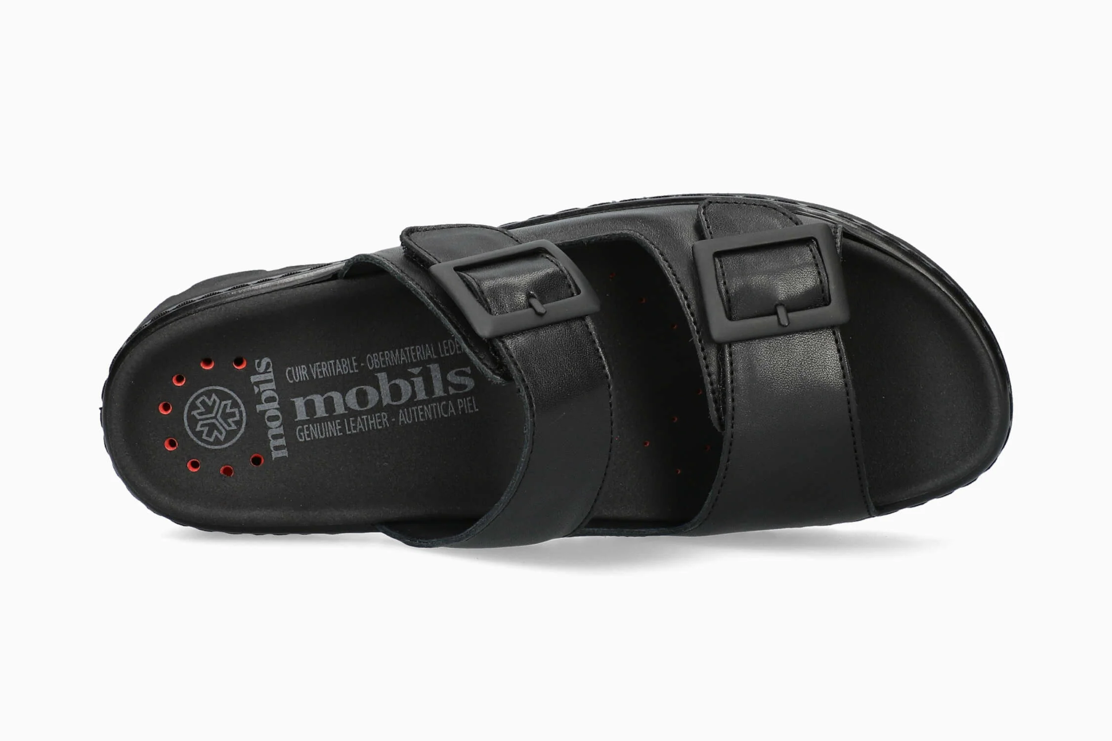 Alba - Black - Image 3
