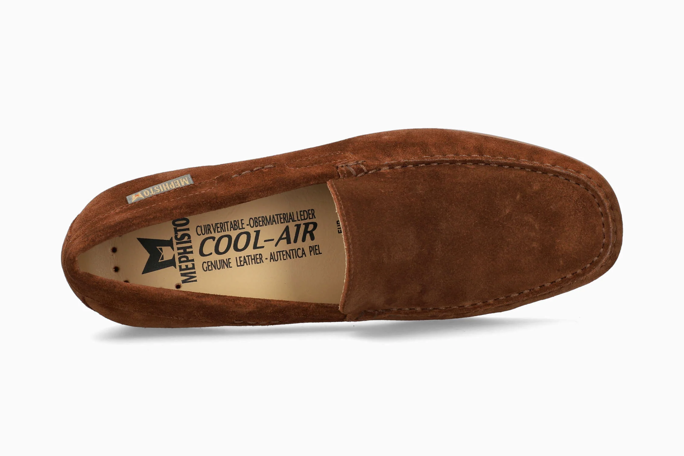 Algoras - Brown - Image 3