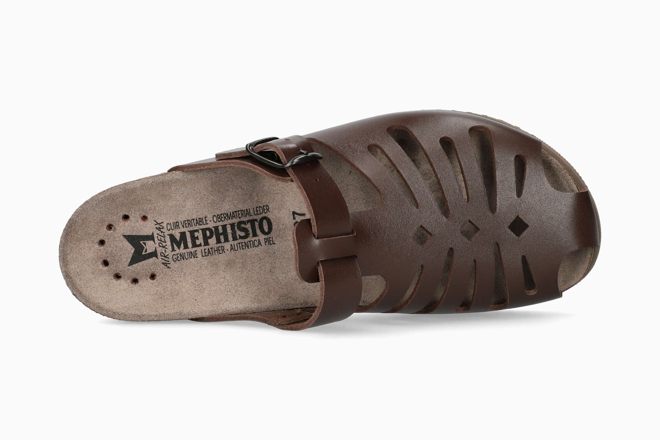 Hedina - Chestnut - Image 3