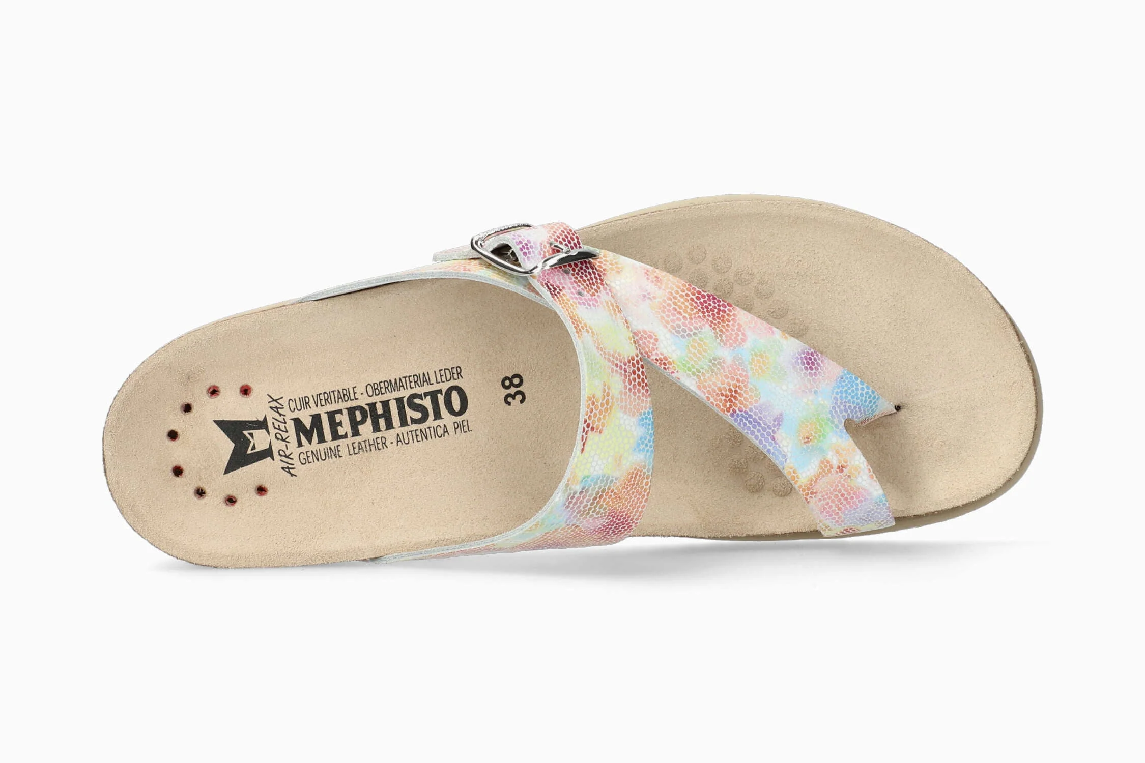 Helen Brights - Bloom - Image 3