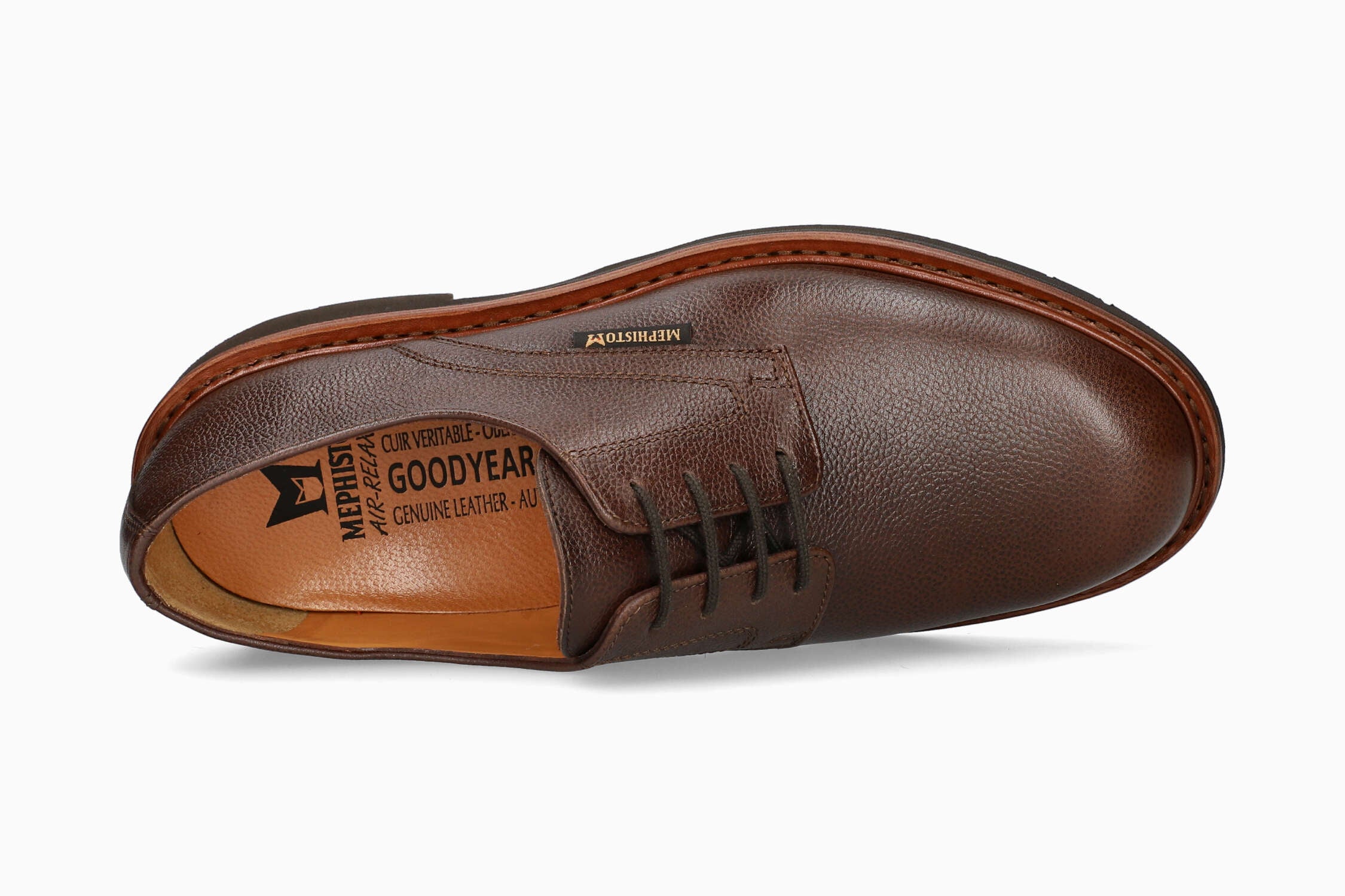 Marlon - Chestnut Brown - Image 3