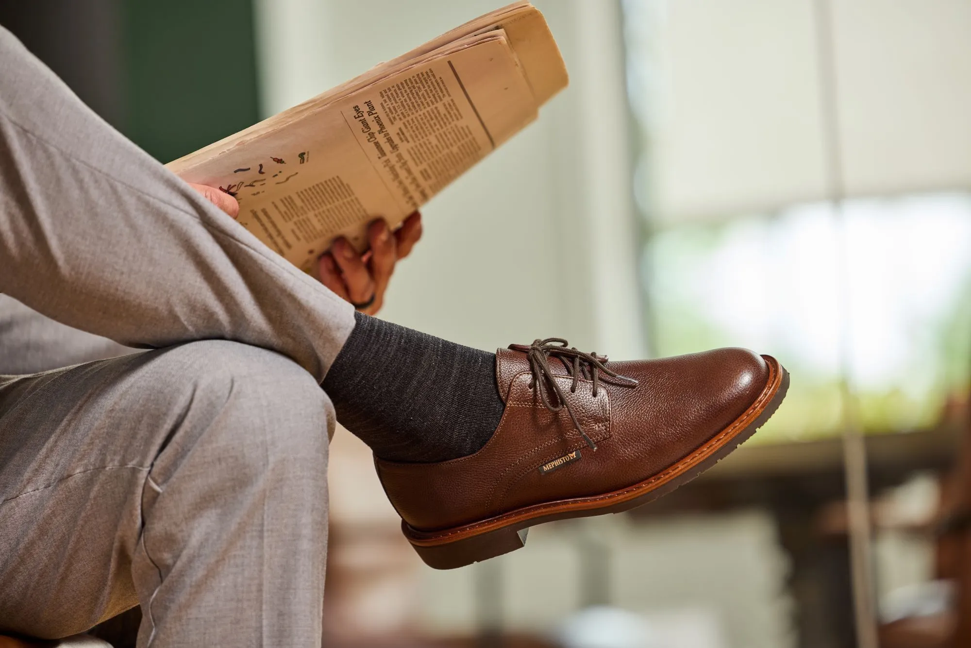 Marlon - Chestnut Brown - Image 5