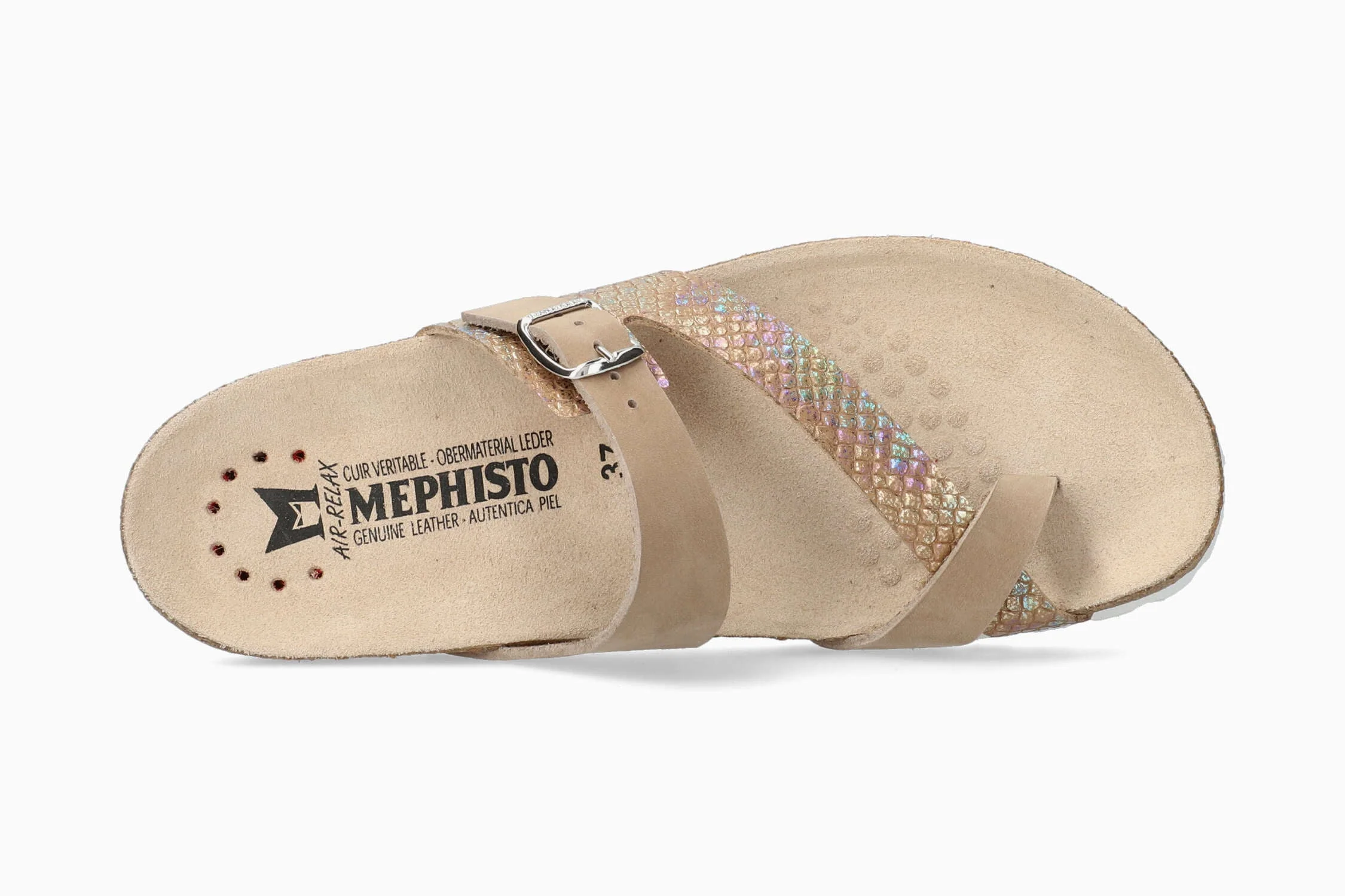 Nalia - Light Taupe - Image 3