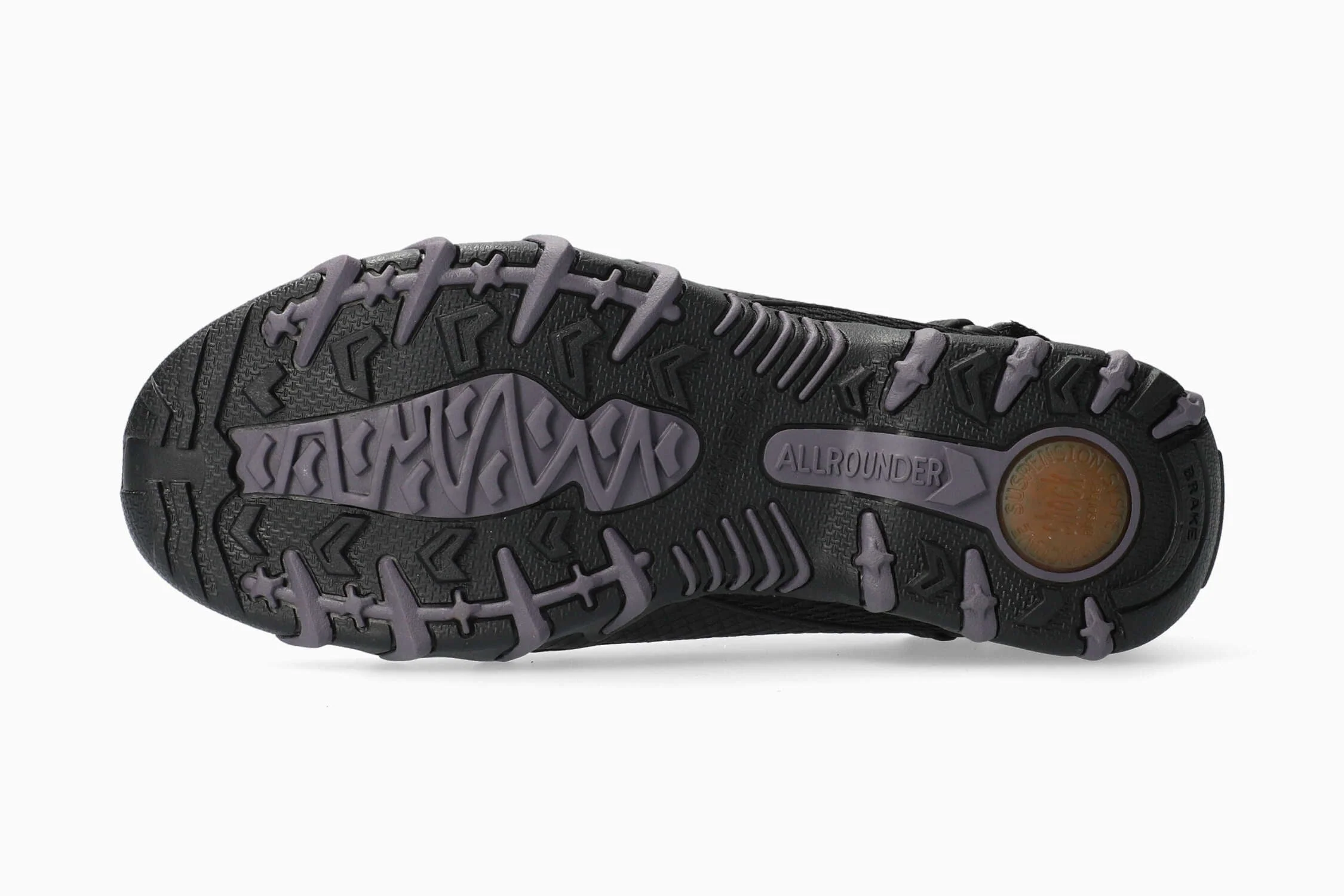 Niro Solid - Black Cornsnake - Image 4