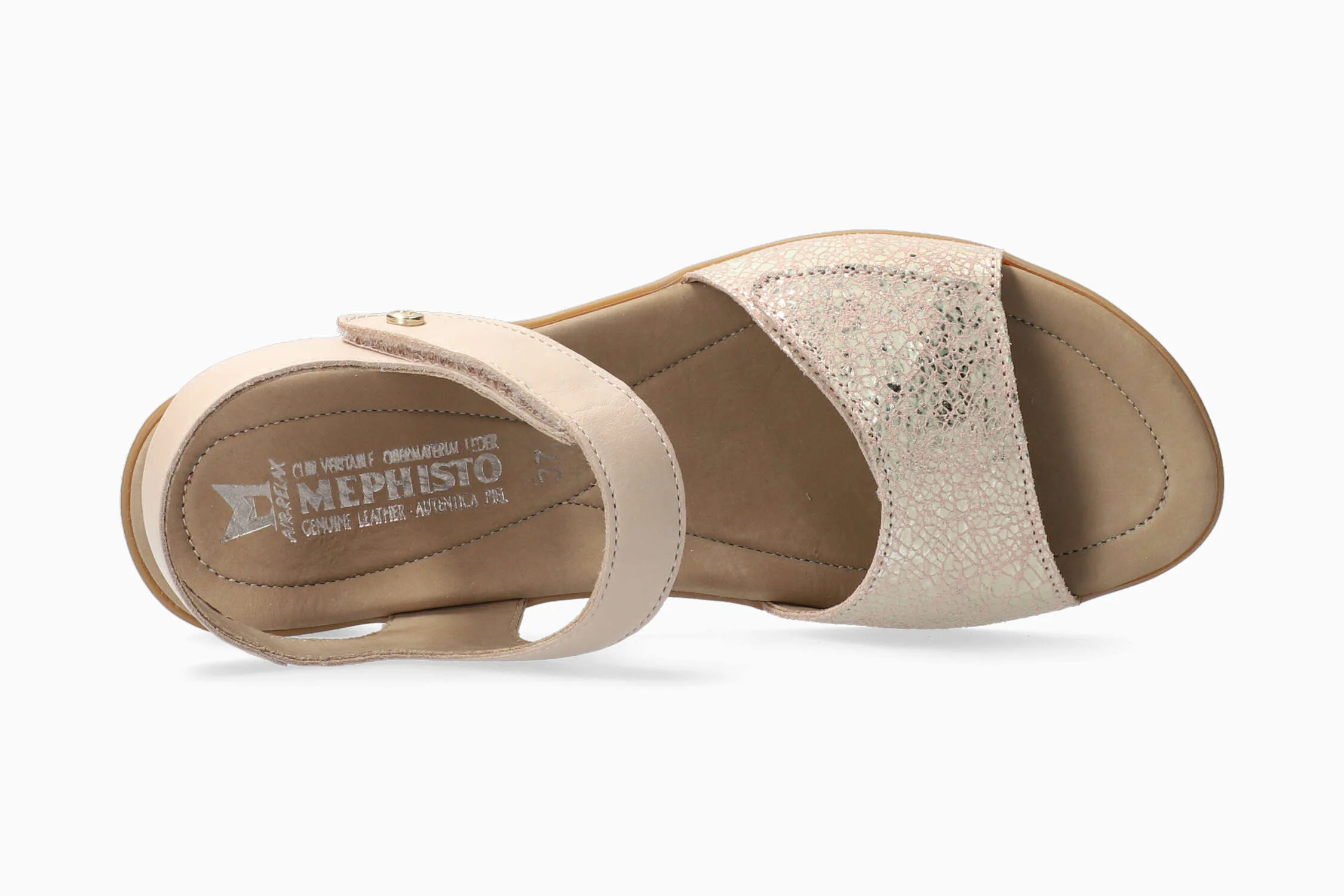 Pattie - Light Taupe - Image 4