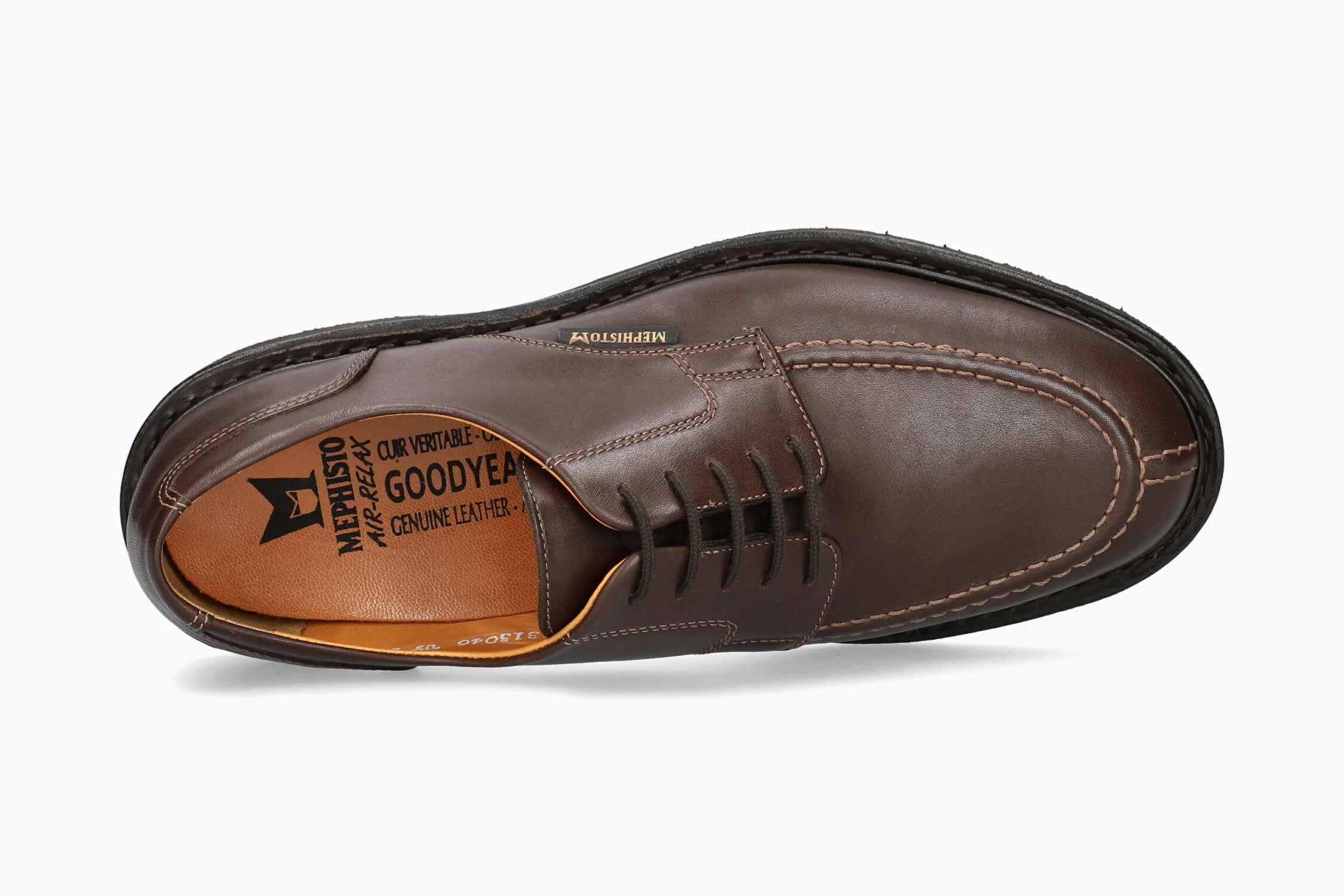 Phoebus - Dark Brown - Image 3