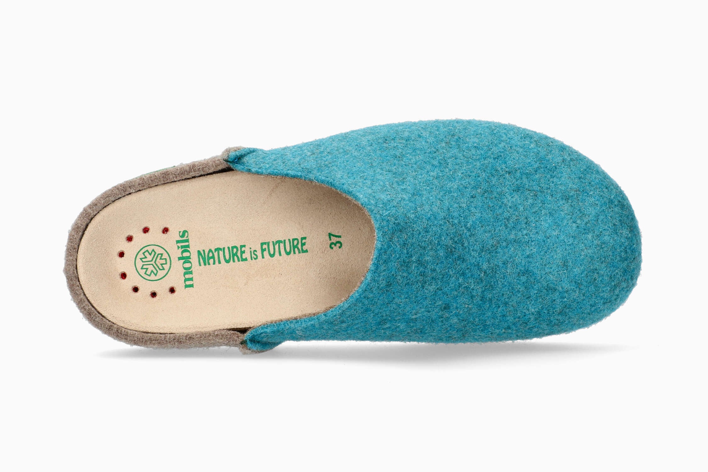 Polli - Turquoise - Image 3