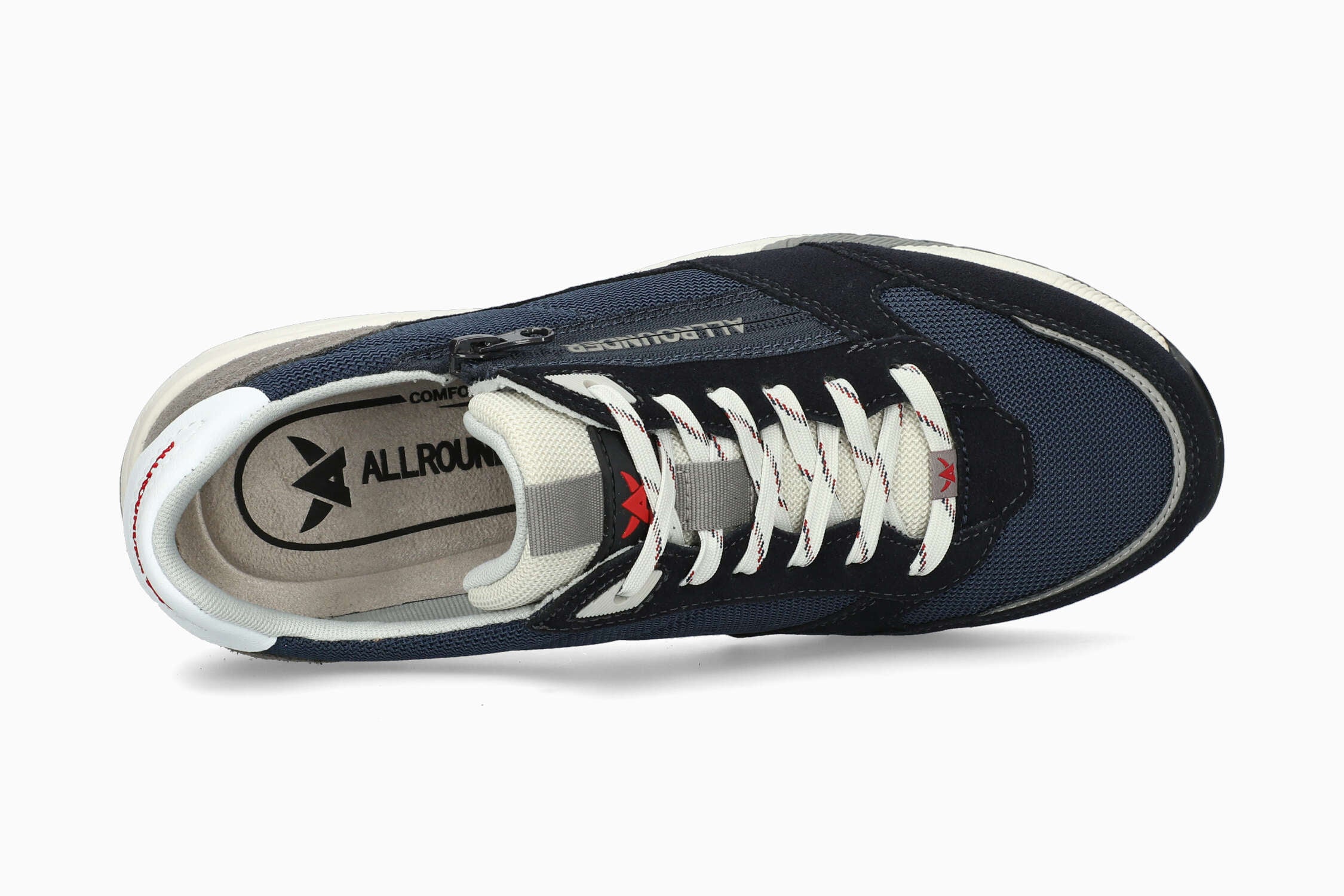 Scarmaro - Cobalt Blue - Image 3