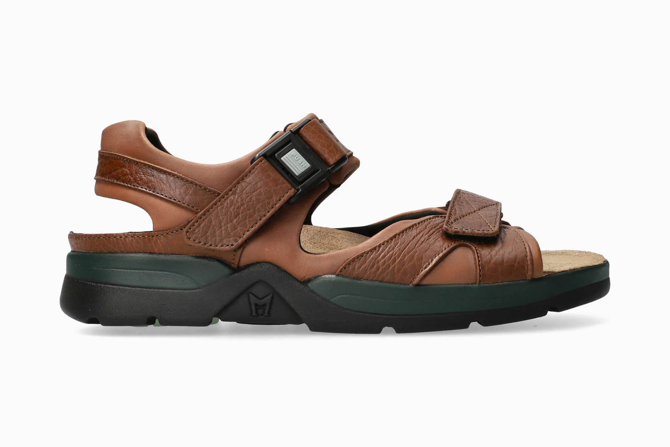 Shark Fit - Chestnut