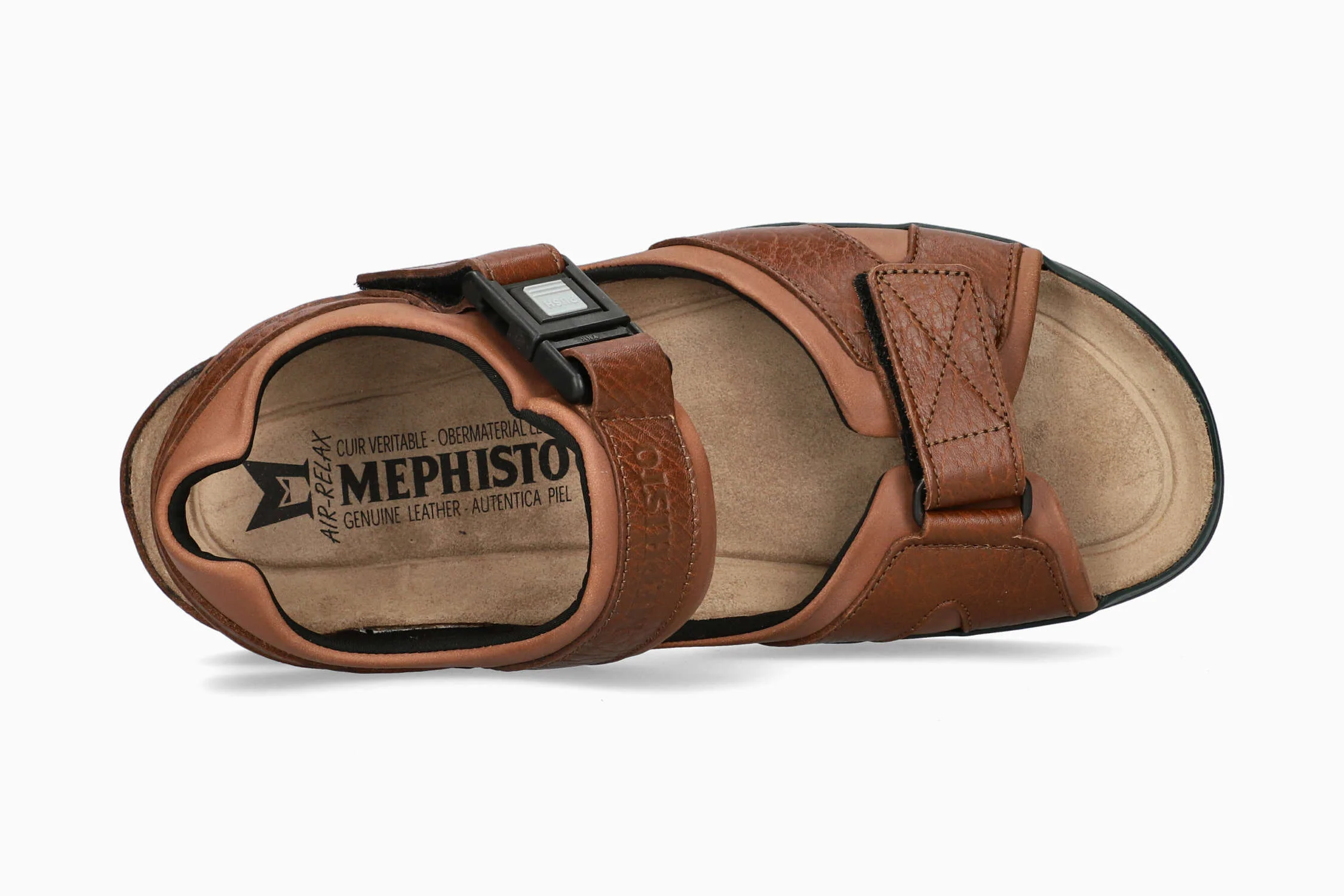 Shark Fit - Chestnut - Image 3
