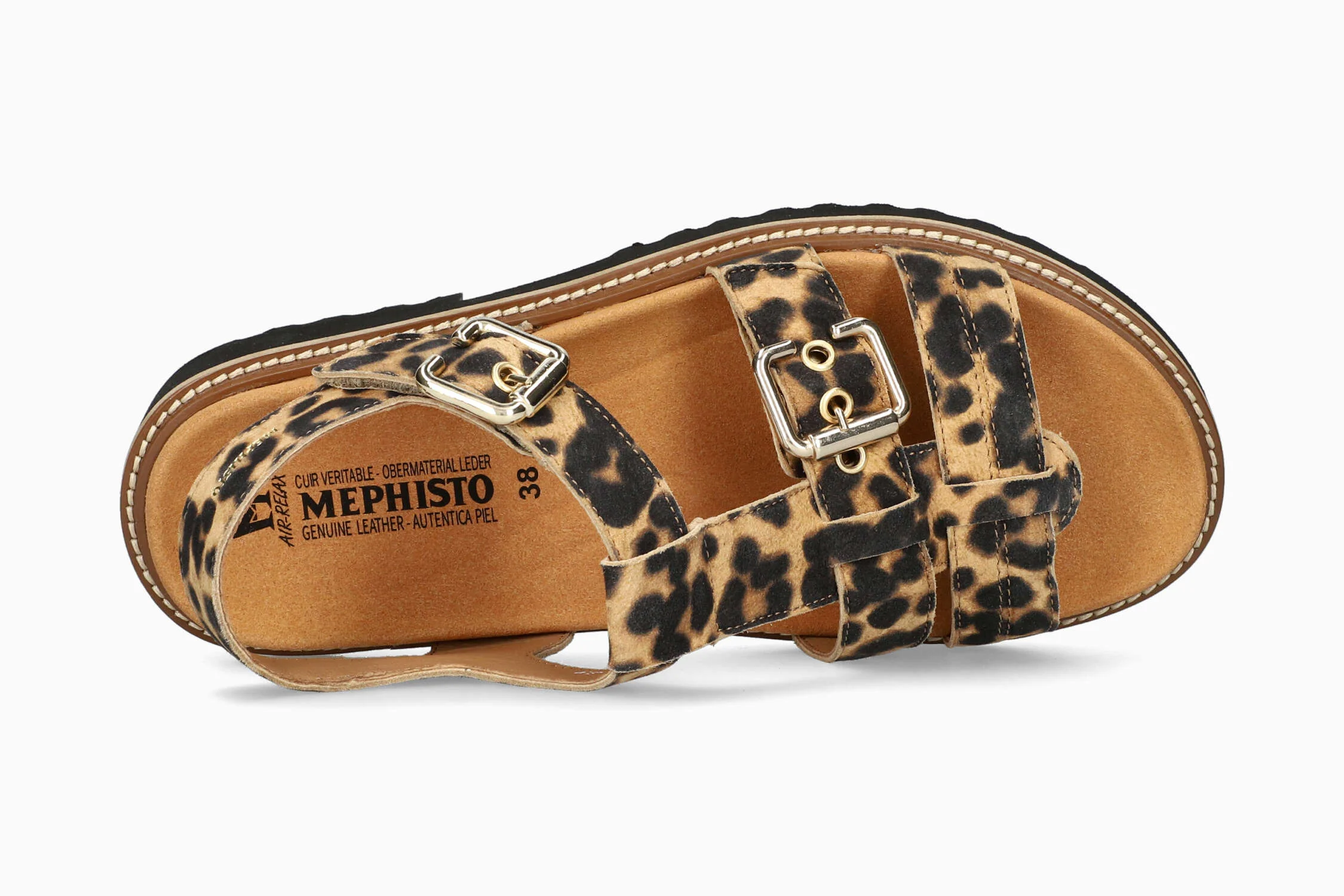 Valny - Brown Bengal - Image 3